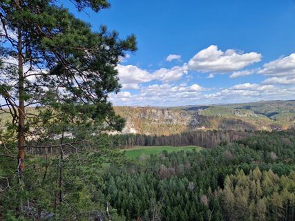 Zdjęcie z RMM wzdłuż trasy