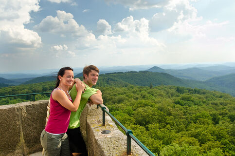 Blick vom Luitpoldturm auf über 300 bewaldete Gipfel