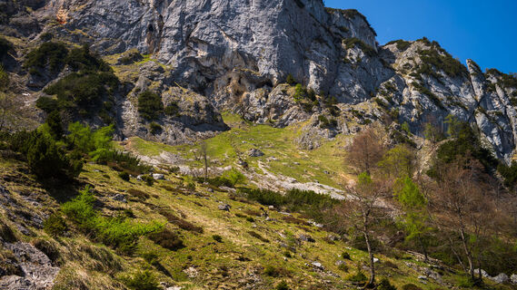 Photo de Kurt le long du parcours