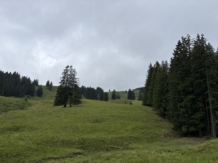 Fotografija s spletne strani Heinz Sperl na poti