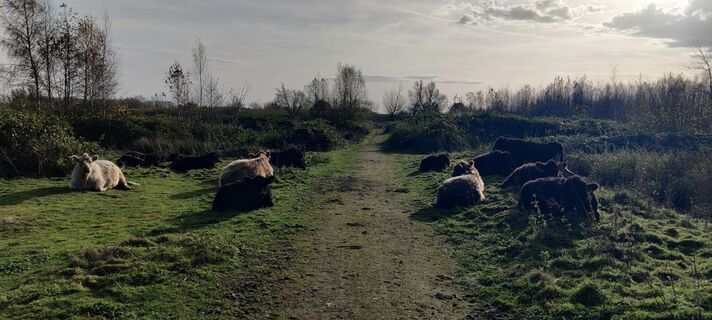 Foto de Gie van den eeckhaut a lo largo del recorrido