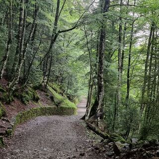 Foto von Roswitha Wawerla entlang der Tour