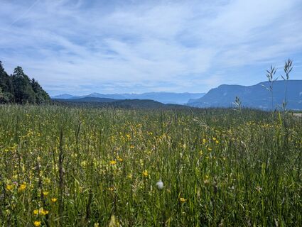 Fotografia z Marcel Zielinski na trase