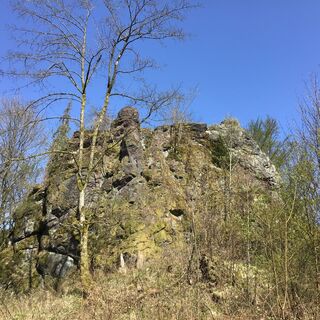 Moosburg - Rundwanderweg "Moosburg / Moosbachtal" Steinbach-Hallenberg - Thüringer Wald