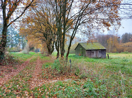 Auf-Spurensuche-Heidmark-Schweimke-1a.jpg