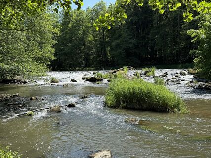 Foto de Norbert Herbig a lo largo del recorrido