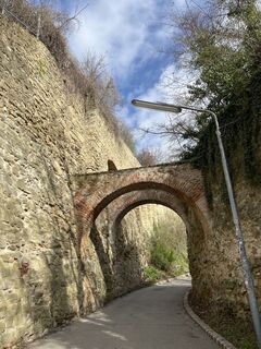 Photo de Nina Vosspeter le long du parcours