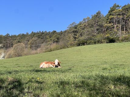 Fotografia z Kattl na trase