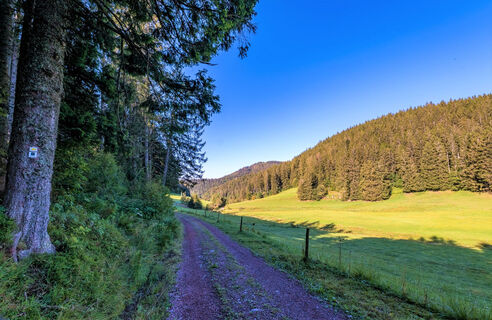 Das wildromantische Hintergrundbachtal