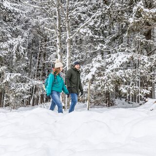 Zwei Wanderer auf dem Winterwanderweg