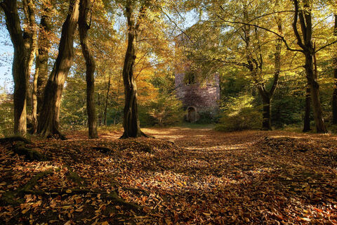 Ruine Bramburg im Naturpark Münden, bei Hemeln