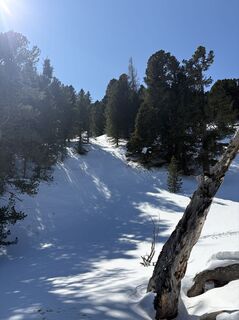 Foto de Meszaros Marianna a lo largo del recorrido