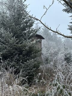 Foto von Babs Holz entlang der Tour