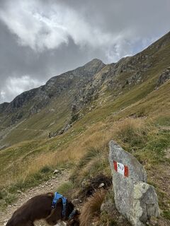 Foto von Antonia Dangl entlang der Tour