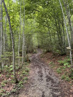 Fotografia z Iwona Bambacht na trase