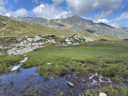 Photo de Marilena Locatelli le long du parcours