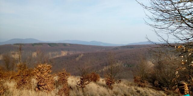 Foto de Marcin 1 a lo largo del recorrido