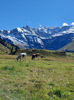 Foto von Gerhard Schmid 1 entlang der Tour