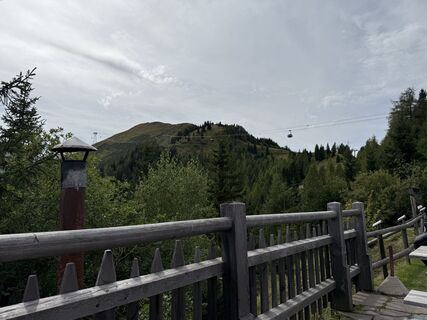 Fotografia z Daniella De Wolde na trase