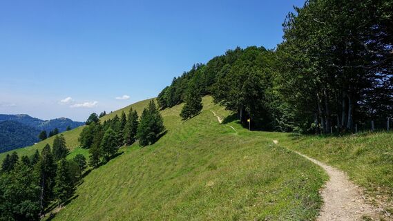 Toggenburger Höhenweg Etappe5 Wanderweg