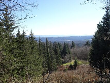 Blick vom Büchelberger Grat