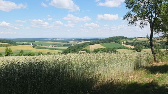 Weinviertel-Panorama