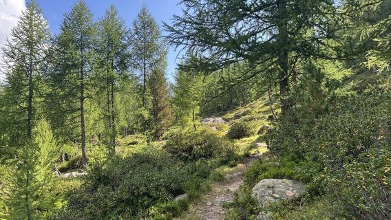 Foto von Pezzotta entlang der Tour