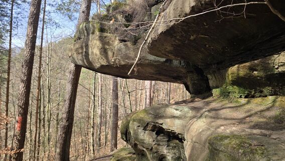 Zdjęcie z Katja Senkel wzdłuż trasy