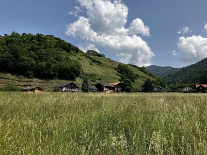 Foto von wisky entlang der Tour