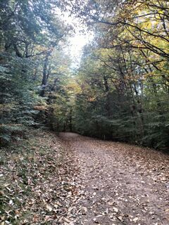 Foto från Erwin Maier under resans gång