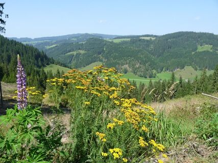 Kräuterwanderweg Lieding, Blick nach Norden