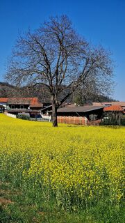 Fotografie z Fabrizi Mellano na trase
