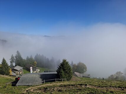 Fotografie de la Maurer Silvia de-a lungul turului