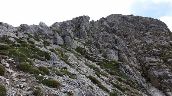 Gradwanderung zum Gaiseck