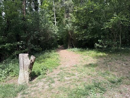 Foto von walkt entlang der Tour