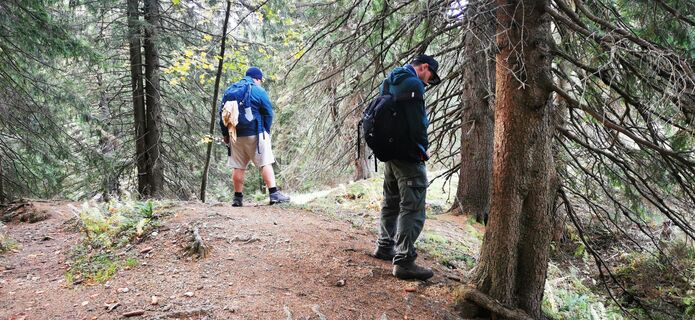 Kuva osoitteesta Klaus Lehner matkan varrella