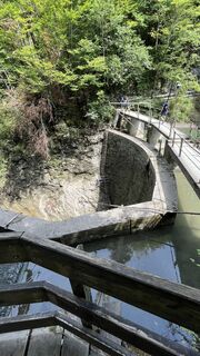 Foto von Guidog entlang der Tour