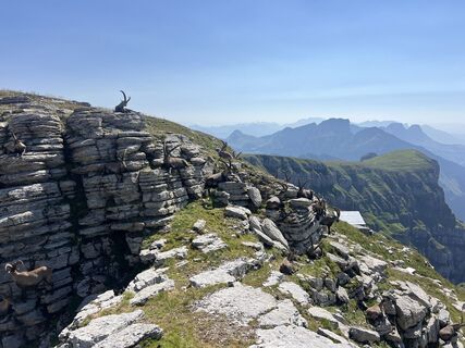 Fotografija s spletne strani Peter Würmli na poti