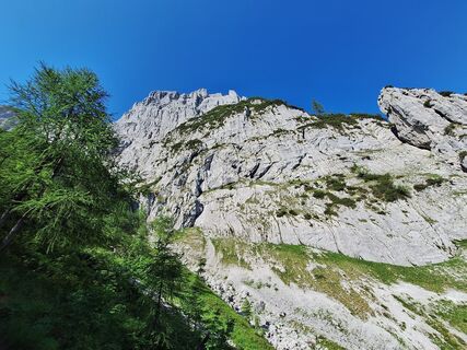 Photo de Daniel Seiwald le long du parcours