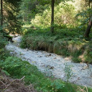 Fluss Loquitz