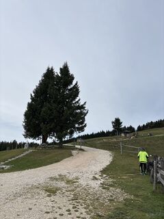 Photo de Heinz Sperl le long du parcours