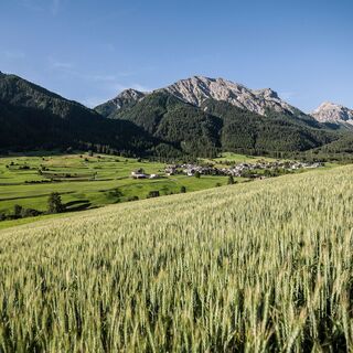 Blick ins Val Müstair