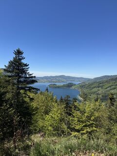 Foto von Bedy entlang der Tour