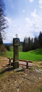 Fotografia z Klaus Lehner na trase