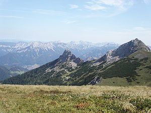 Wildfeld und Stadlstein. 