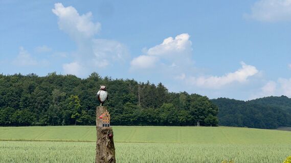 RI18 Friedrichsburg Route Eule auf Holzpfal