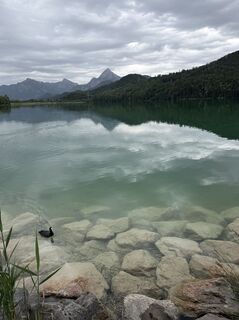Fotografija s spletne strani gregor na poti