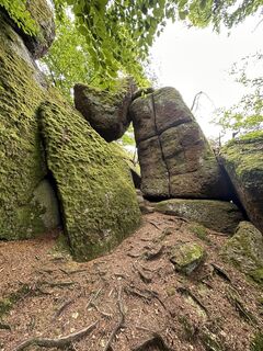 Photo de Babs Holz le long du parcours