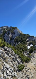 Foto de micsunel ciocirtau a lo largo del recorrido