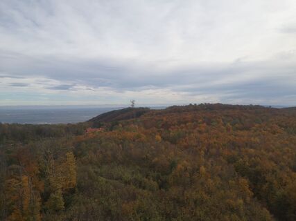 Photo de Ric Hard le long du parcours